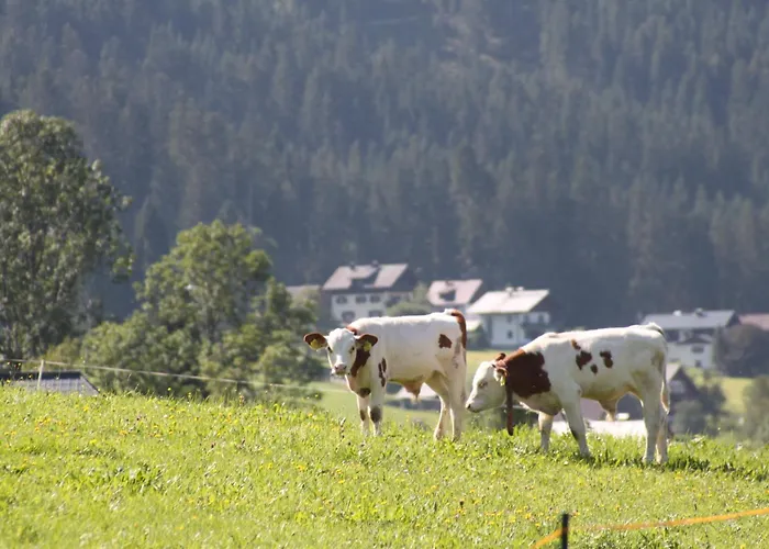 Muhlradl Apartment *