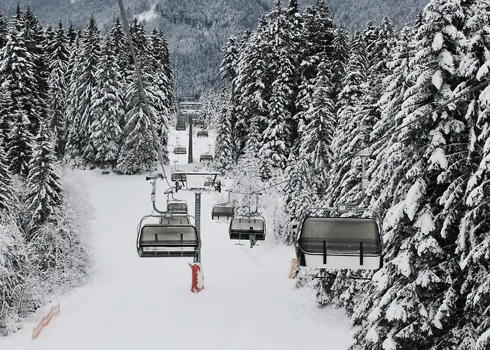 Muhlradl Apartment Gosau