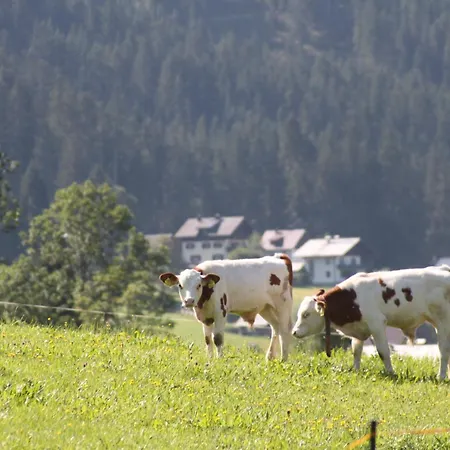 Muhlradl Lägenhet *