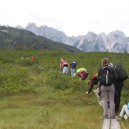 Muhlradl Lägenhet *