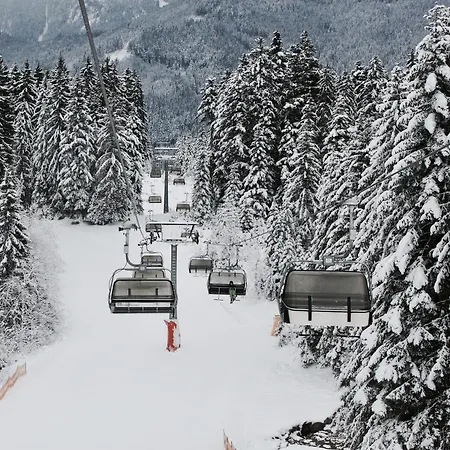 Muhlradl Lägenhet Gosau