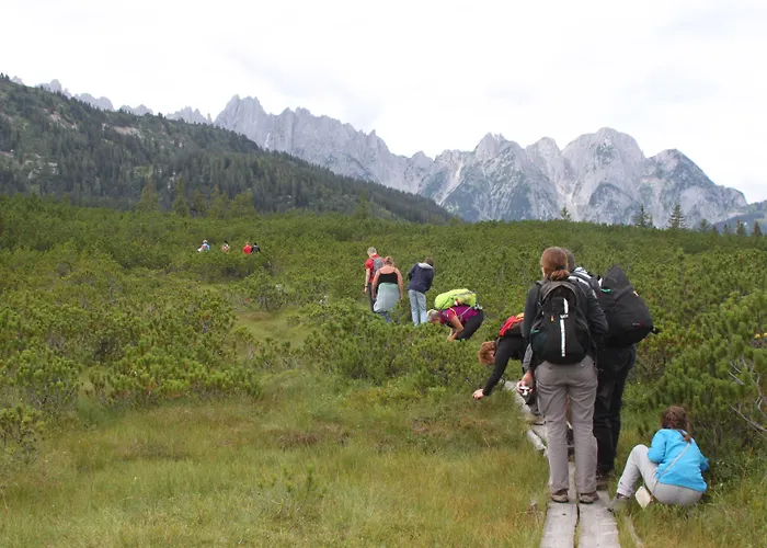 Muehlradl Διαμέρισμα *